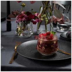 Ritzenhoff CELEBRATION DELUXE WHISKY TUMBLER-SET  #3