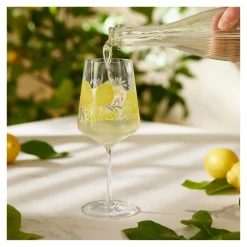 Ritzenhoff sommertau limoncello aperitifglas-set #19, #20